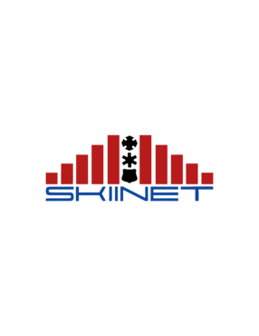 skiinetworks.com